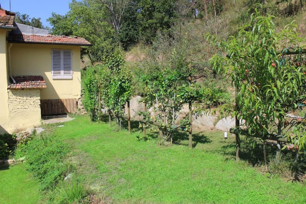 Casa Barulli - Tuscany Сан-Джованни-Вальдарно Экстерьер фото